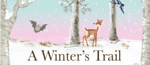 1431794120899-winterstrail2